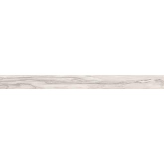 60388 EPIC WHITE RET 10*100