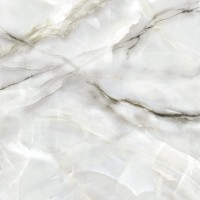 6060ORO15P Onyx Royal Gray 60x60