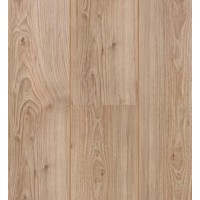 60756 Xperience 4V Вяз Дакота