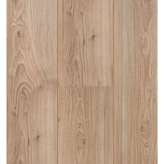 60756 Xperience 4V Вяз Дакота