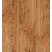 60757 Xperience 4V Вяз Янтарный