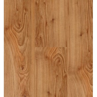 60757 Xperience 4V Вяз Янтарный