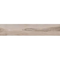 60952 SAVANNA DUST RET 20x100
