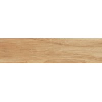 610010000621 Frame Honey 22,5x90