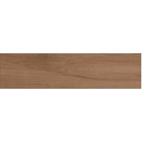 610010001163 Frame Walnut 22,5x90