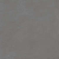 610010002646 Rinascente Smoke Rect R9 80x80