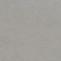 610010002654 Rinascente Grey Rect R9 60x60