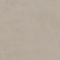 610010002657 Rinascente Clay LASTRA 20mm R11 60x60