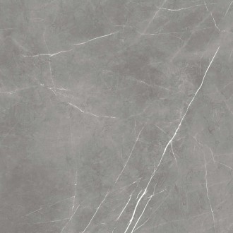 610010002724 Керамогранит Elegant Grey Lastra 20mm 60x60