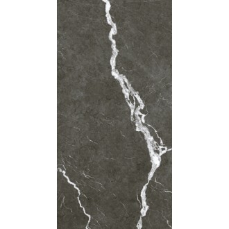 610010002747 Микеланджело Дарк 60x120