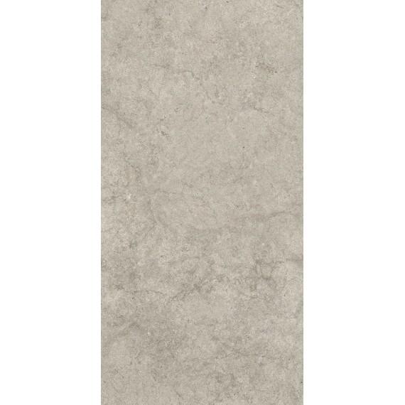 Керамогранит 610010003142 Саленто Грэй Рет 60x120