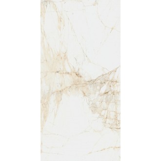 610010005765 Canova White Ret 60x120