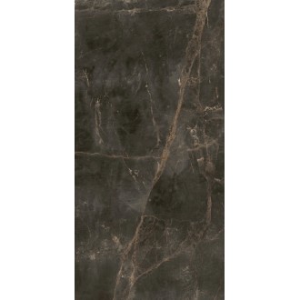 610010005768 Canova Dark Ret 60x120