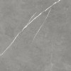 610015000649 Forte dei Marmi Elegant Grey 80x80