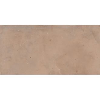 610080000233 Rinascente Terracotta Rect 60x120