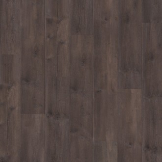 61013 Traditions Трюфельная сосна