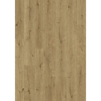 61019 Traditions Дуб лесной