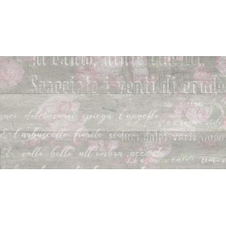 652261 Abba Flowers серый 30х60