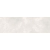 690 Rebellion 29.5x89.5