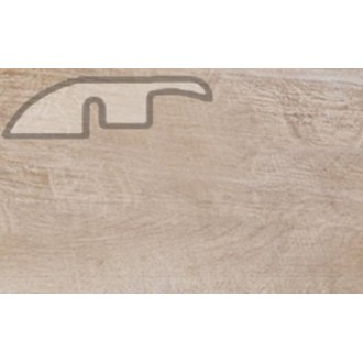 703 Дуб замковый старый