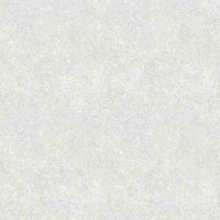 737280 Chantilly Cemento Серый 45x45