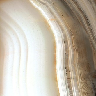 744473 ALABASTRI DI REX Bamboo Glossy 6mm 80x80