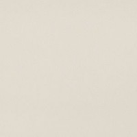 745210 SLIDE WHITE 45,7X45,7