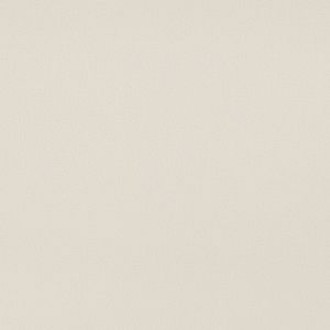 745210 SLIDE WHITE 45,7X45,7