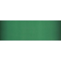 754895 SLIDE EMERALD 10X30