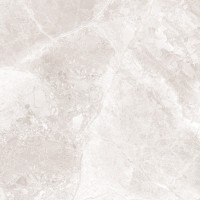 76036 Supreme Ivory Ret Levigato 60x60