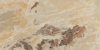 765901 Керамогранит Onyx&More Golden Blend Glossy Ret 6mm 120x240