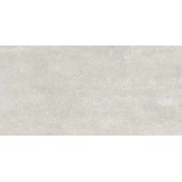 7681 MODENA LIGHT GRAY MATT 60x120