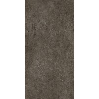 768327 Керамогранит Sensi Brown Fossil Ret 60x120