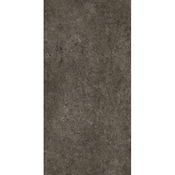 Керамогранит 768328 Керамогранит Sensi Brown Fossil R+PTV Ret 60x120