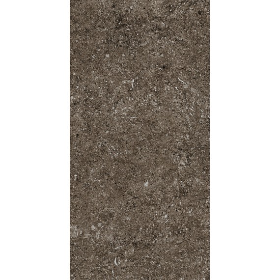 Керамогранит 768354 Керамогранит Sensi Brown Fossil R+PTV Ret 40x80