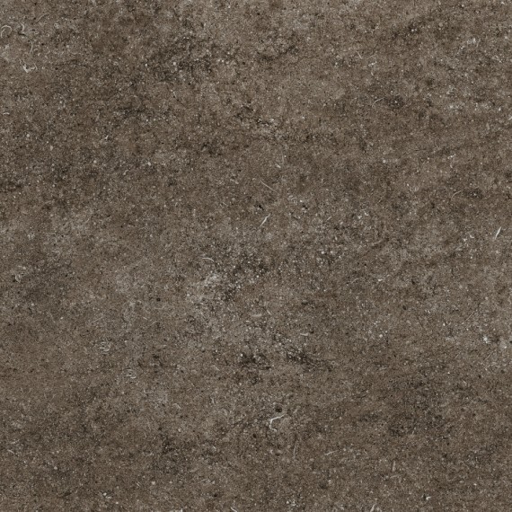 Керамогранит 768379 Керамогранит Sensi Brown Fossil Ret 80x80