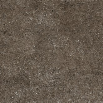 768380 Керамогранит Sensi Brown Fossil R+PTV Ret 80x80