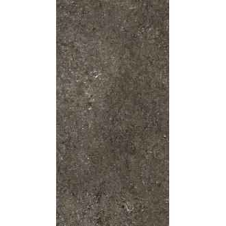 768625 Керамогранит Sensi Brown Fossil Nat Ret 6mm 60x120