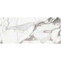 769971 Origines De Rex Argent Matte 6mm 120x280