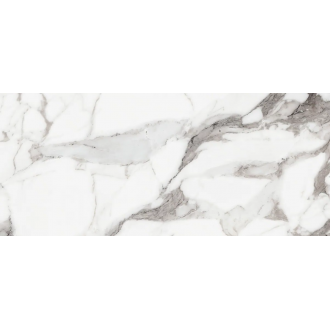 769971 Origines De Rex Argent Matte 6mm 120x280