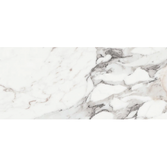 769975 Origines De Rex Argent Glossy 6mm 120x280