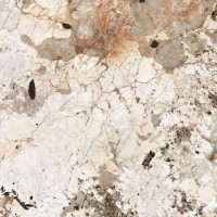 774889 Nature Mood Tundra Glossy 6mm 120x120