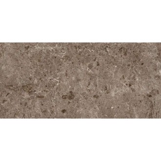 78RC27P Керамогранит Coverlam Artic Moka Pulido 120x260