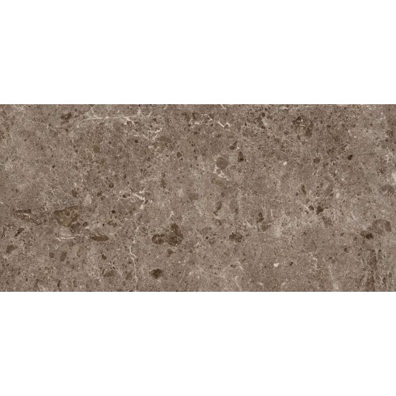 Керамогранит 78RC27P Керамогранит Coverlam Artic Moka Pulido 120x260