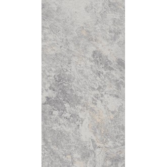 795 Image Silver 60х120