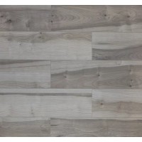 805 ASU Клён канадский Дерсу