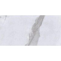 8068 SILVA WHITE 60x120