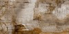 8070 INCANTO GRAY POLISHED 60x120