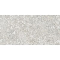 8084 MOON ROCK LIGHT GRAY 60x120