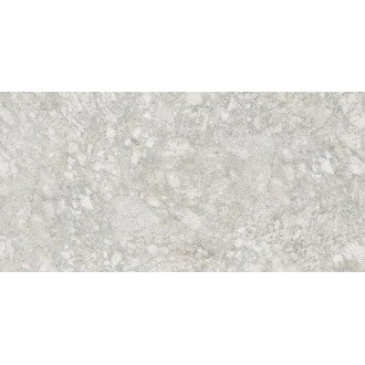 8084 MOON ROCK LIGHT GRAY 60x120